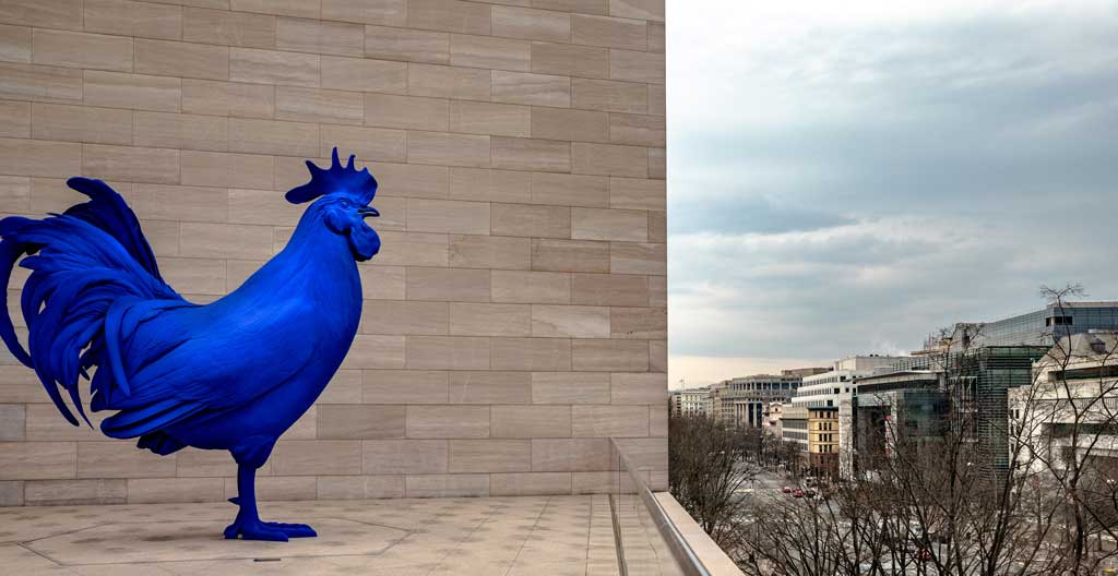 Blue-Rooster-National-Gallery-of-Art-webres